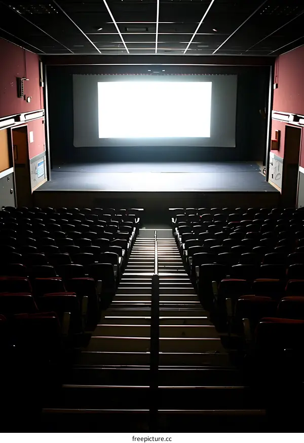 Empty Movie Theater Seats and Screen