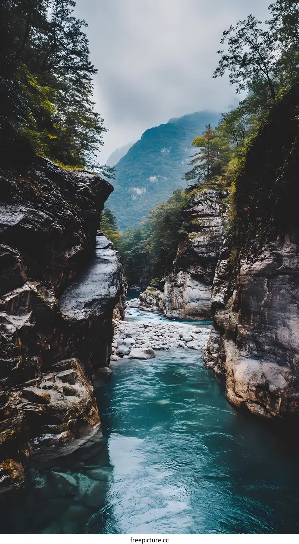 Mountain River Flowing Through A Narrow Gorge
