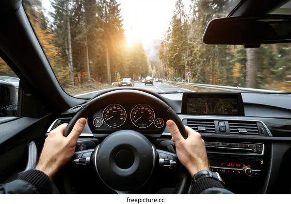 Driving through Scenic Autumn Forest Road Trip