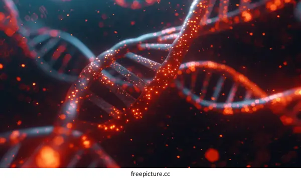 DNA double helix structure