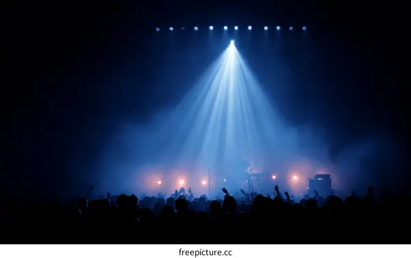 Crowd at a Concert under Spotlight