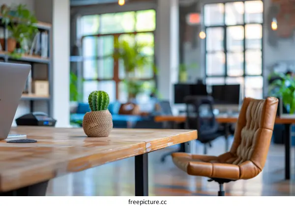 Cactus on wooden table in modern office interior with blurred background