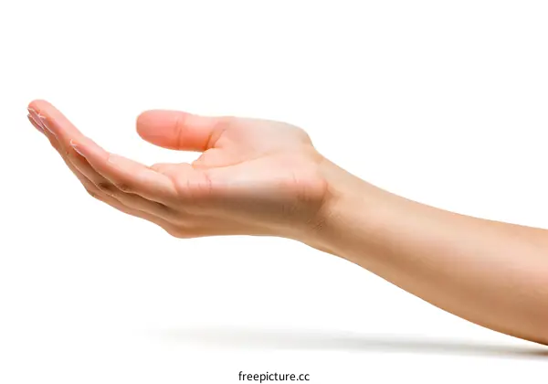 Open Hand Gesture on White Background