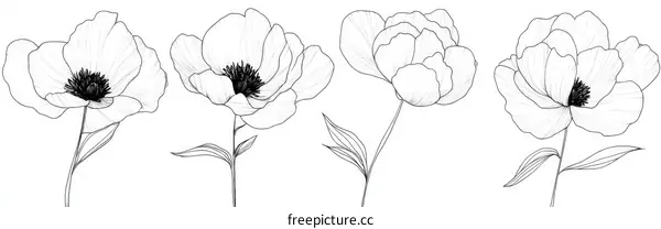 Elegant Line Art Flowers Collection