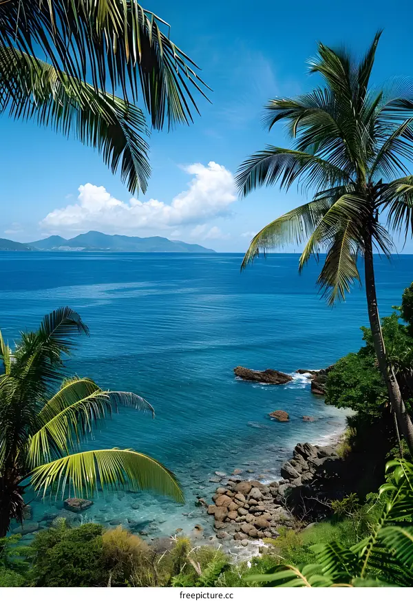 Tropical beach with palm trees and blue water