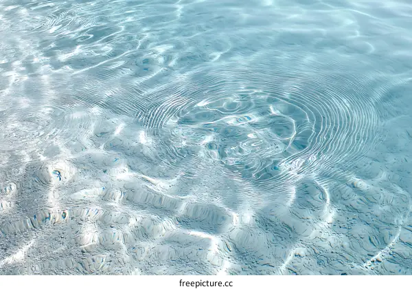 Tranquil Water Surface Patterns