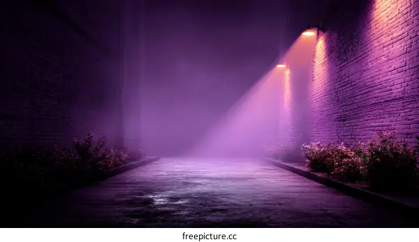 Mysterious Purple Alley at Night