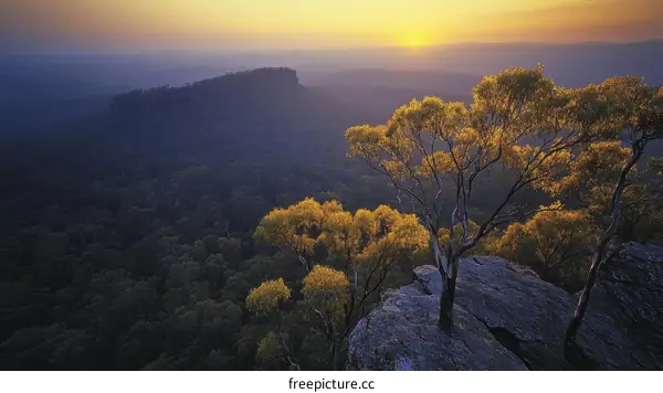 Sunrise Over the Mountainous Forest
