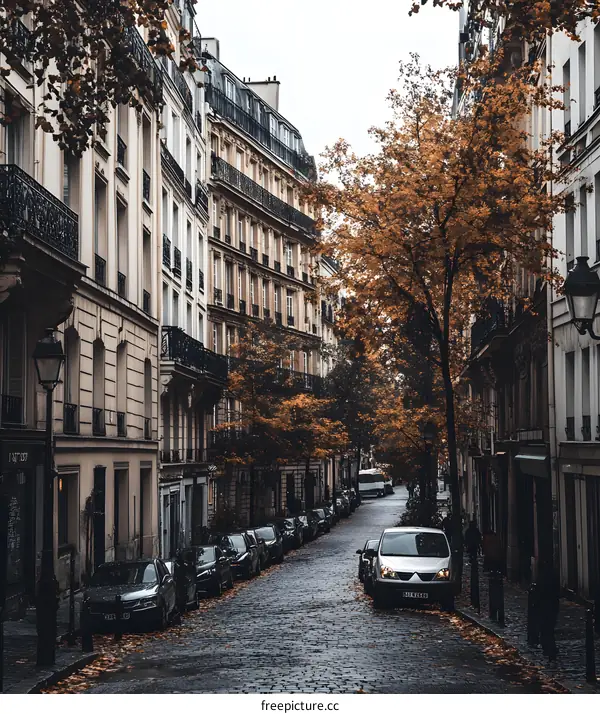 Cobblestone Street in Paris with Autumn Leaves