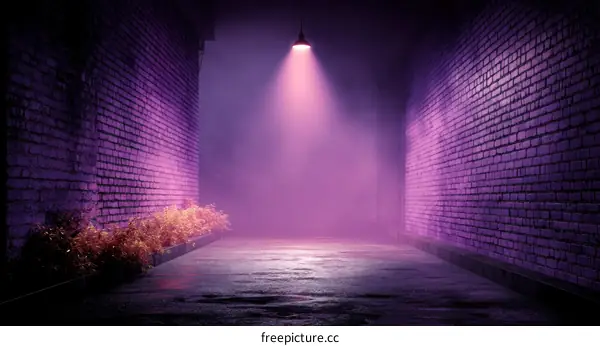 Purple Alleyway with Foggy Lighting