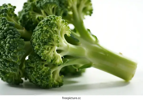 Fresh Green Broccoli Florets with Stalks Close-up View