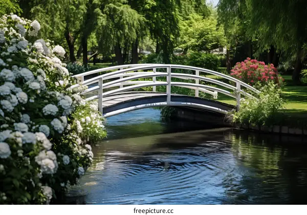 Small wooden river bridge in a lush summer park