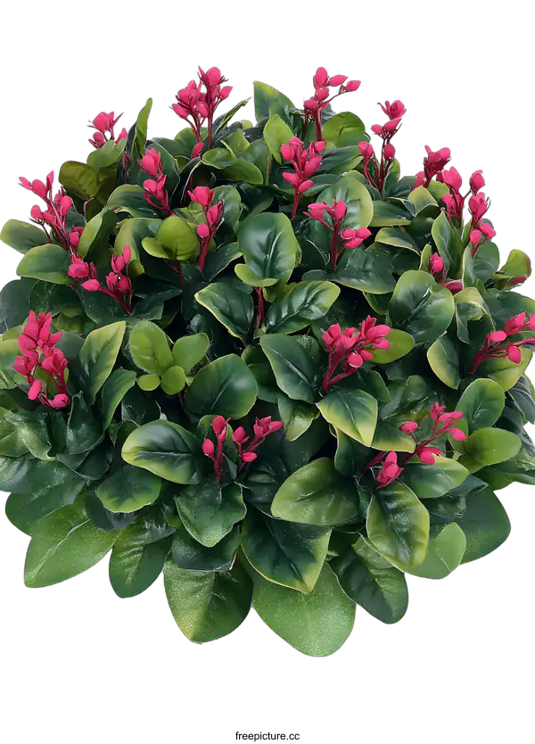 [Transparent Background PNG]Artificial Green Bush Plant with Pink Flowers