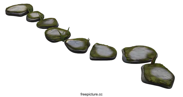 [Transparent Background PNG]Stepping Stones Path With Grass