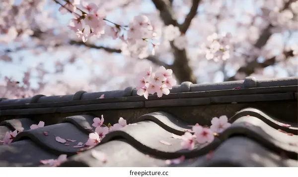Cherry Blossom Petals Falling on Traditional Japanese Roof Tiles