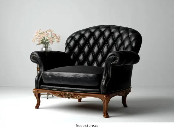 Black Leather Armchair in Elegant Style