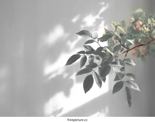 Elegant Shadow Play of Leaves Against a Light Grey Wall