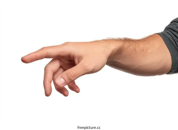Male Hand Pointing Forward Studio Shot