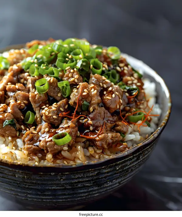 A bowl of gyudon with beef and rice