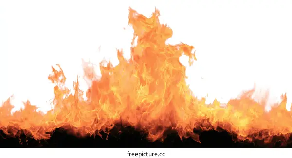 Fiery Flames Border Design