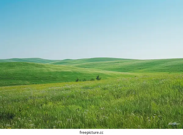 Rolling green hills under clear blue sky