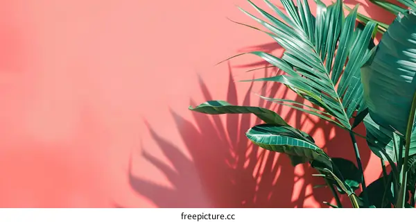 Green Leaves Against Coral Wall