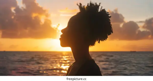 Young African-American woman watching the sunset over the ocean