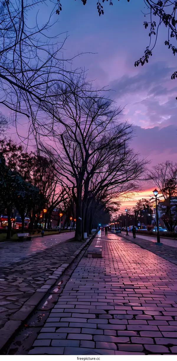 Twilight Sky over a Cobblestone Path with People Walking
