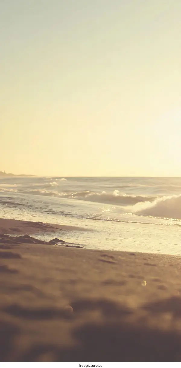Golden Sunset Over the Beach
