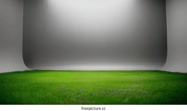 Empty Studio with Grass Floor