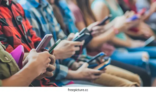 Group of People Using Smartphones While Sitting