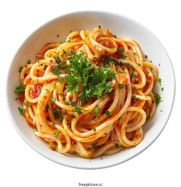 spaghetti with tomato sauce