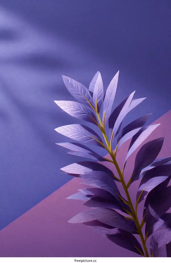 Purple Leaf Branch Minimalist Still Life