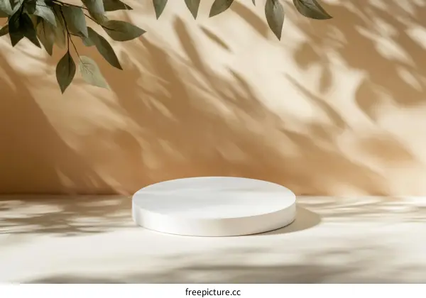 Minimalist Product Display with Natural Light and Shadows