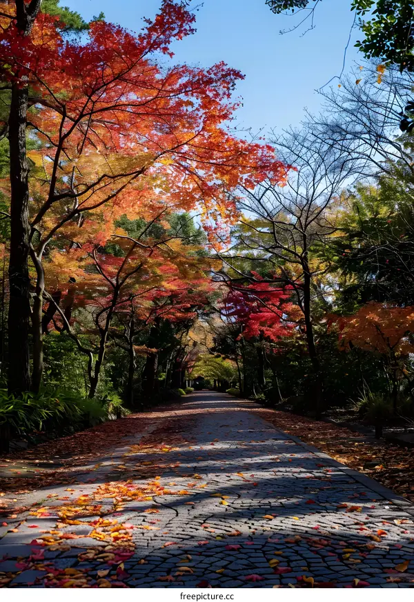Colorful autumn leaves and stone path in the park