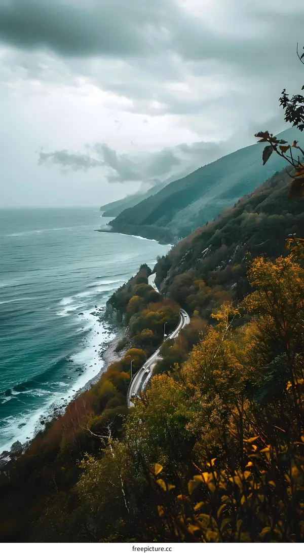 Coastal Road Winding Through Forested Hills