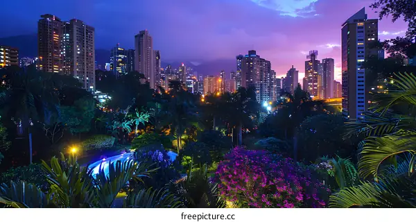 Palm trees and cityscape at dusk