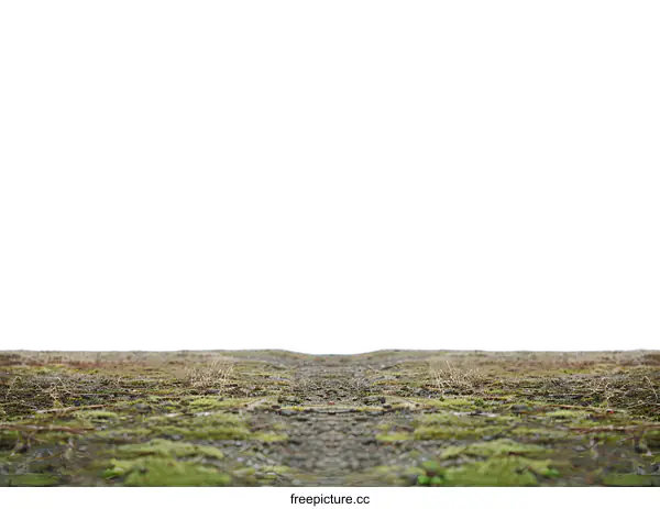 [Transparent Background PNG]Green Mossy Ground With White Sky