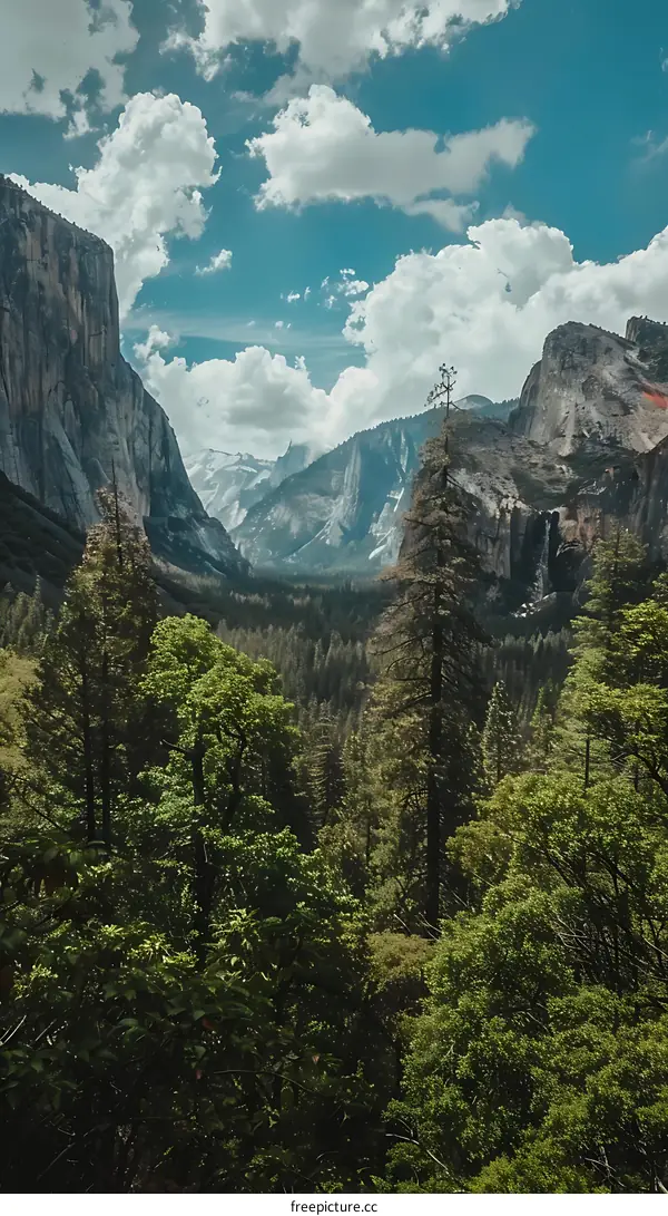 Scenic View of Yosemite National Park with Mountains and Forest