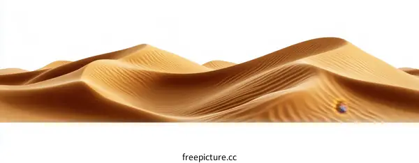 Desert Dunes Landscape Illustration
