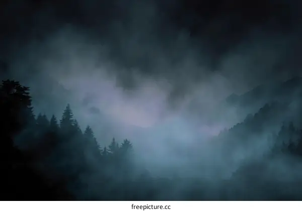 Misty Mountain Forest at Night