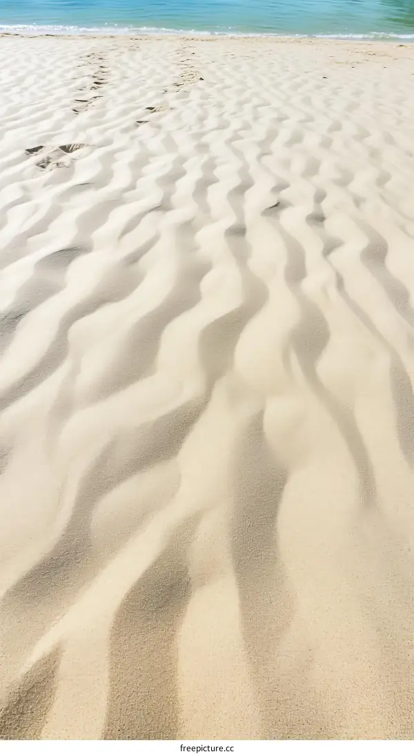 Tranquil Sandy Beach with Rolling Waves