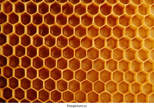 Close Up Honeycomb Texture Background