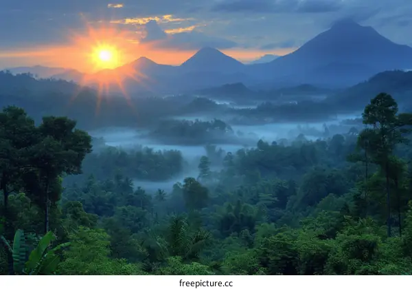 Misty Tropical Rainforest Landscape
