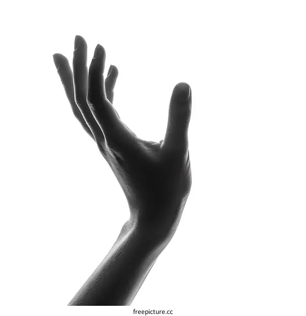 Outstretched Hand on White Background