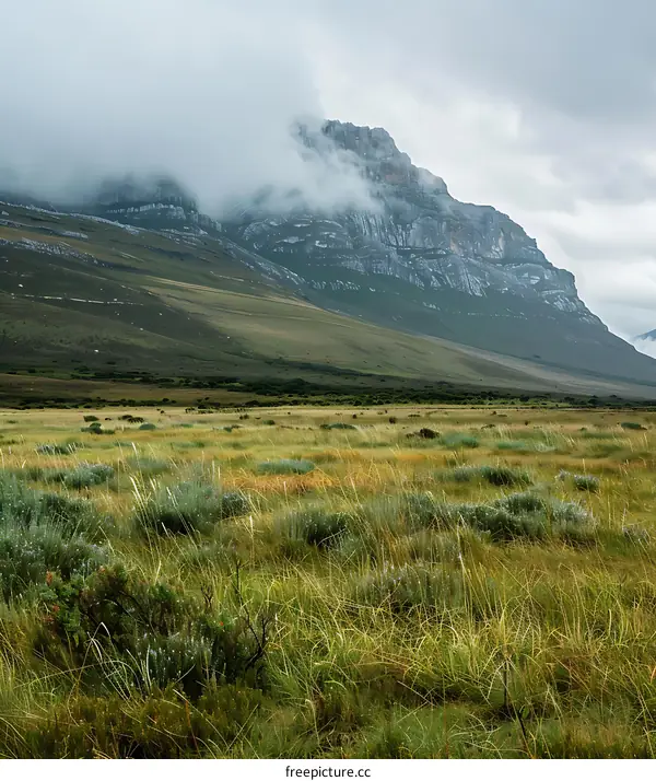 Mountain Landscape with Fog