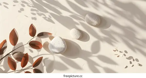 Minimalist Aesthetic White Stones and Brown Leaves