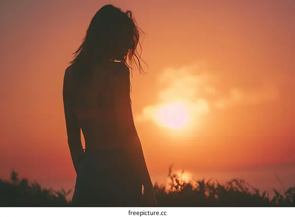 Silhouette of Woman Standing at Sunset