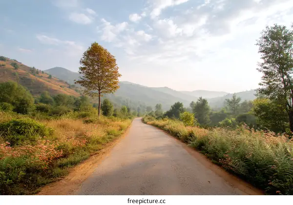 Country Road Through Scenic Hills at Dawn