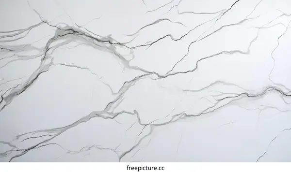 Black and white marble texture background